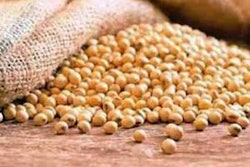 1111 Ia Newscereales2