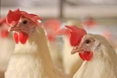 The FDA is conducting inspections of large egg farms to check compliance with the Egg Safety Rule.