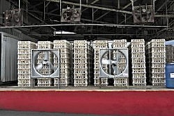 Storage must be properly managed and monitored to prevent birds being dead on arrival.