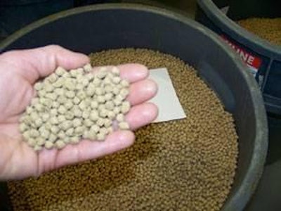 An example of feed pellets milled at the Bozeman Fish Technology Center in Montana. The experimental diets manufactured by BFTC are used in research trials across the western U.S.