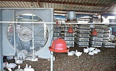 If filled crates are carefully placed before loading onto the truck, fans keen help to keep the birds' temperature down.
