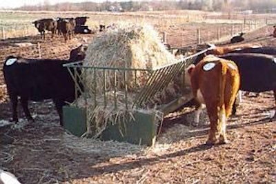 Since cattle are hierarchal creatures, designs that have straight edges, such as the cradle feeder, allow a more dominant cow to push a less dominant cow out of the feeder.