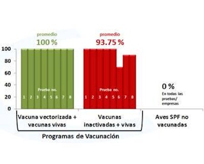 Las aves se desafiaron con la cepa Chimalhuacán del virus del Newcastle (cada barra en el gráfico es una prueba/empresa diferente).