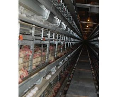 While layer and pullet health in the U.S. is generally good, Dr. Bernie Beckman, director of technical services, Hy-Line North America, pointed out 7 health issues that are currently troubling some egg producers.