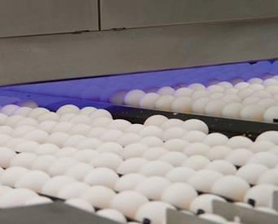 Es de suma importancia el control de la calidad de la cáscara, dado que entre un 2 y 12 por ciento del total de los huevos producidos presenta problemas de cáscara entre la granja y el mercado consumidor