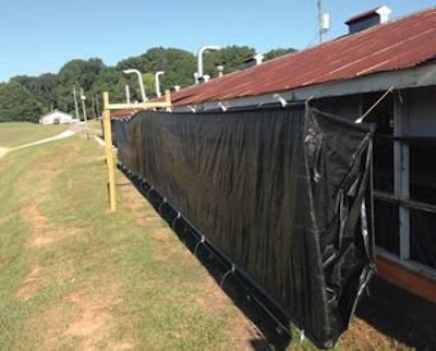 En la granja avícola experimental de la University of Georgia llevan a cabo pruebas de un colector solar de tejido abierto con una tela negra, para evaluar su potencial como suplemento del propano para calentar una caseta o galpón avícola.