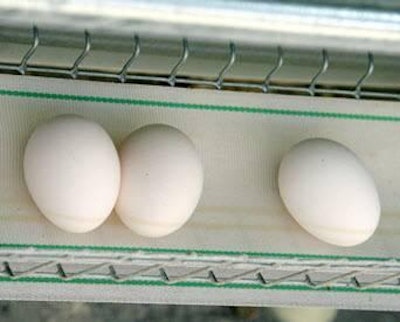Es importante guardar de inmediato los huevos en la refrigeradora.