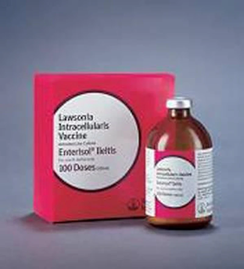 Boehringer Ingelheim Vetmedica enterisol ileitis vaccine | WATTPoultry.com