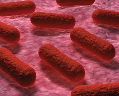 bigstockphoto.com | E. coli and Salmonella, which account for a growing level of drug-resistant infects, remain a major food safety concern.