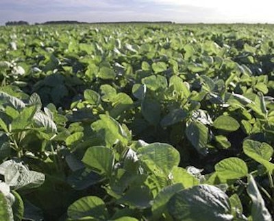 Dreamstime | Argentina is set to produce around 67 million metric tons of soybeans by 2020-21.