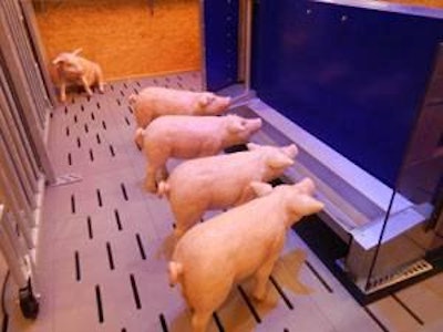 The Big Dutchman-designed concept details how pig farms could look and operate in the future.