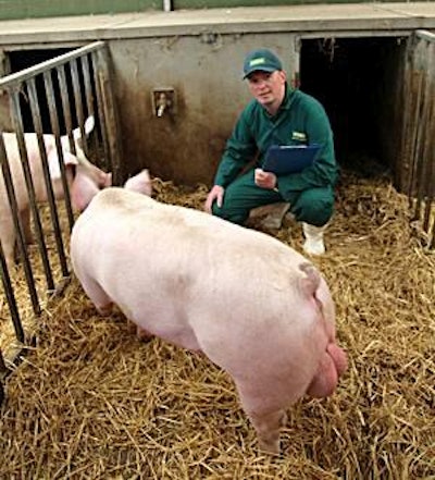 © ACMC LTD, England | It is likely that we will be able to get the whole genome of the pig for relatively little money in the foreseeable future.
