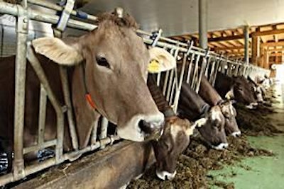 The public needs to know that ruminants only contribute about 2 percent of global greenhouse gases, and feed producers are working to lower that number.