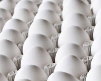 American Humane Association has applauded the results of the Coalition for Sustainable Egg Supply's research into five areas of egg production sustainability.