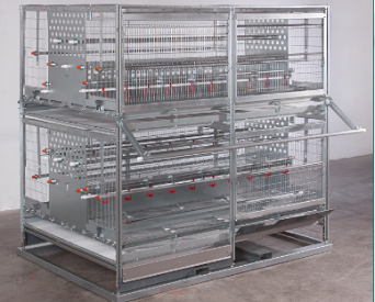 Pullet-rearing system selected for award | WATTPoultry.com