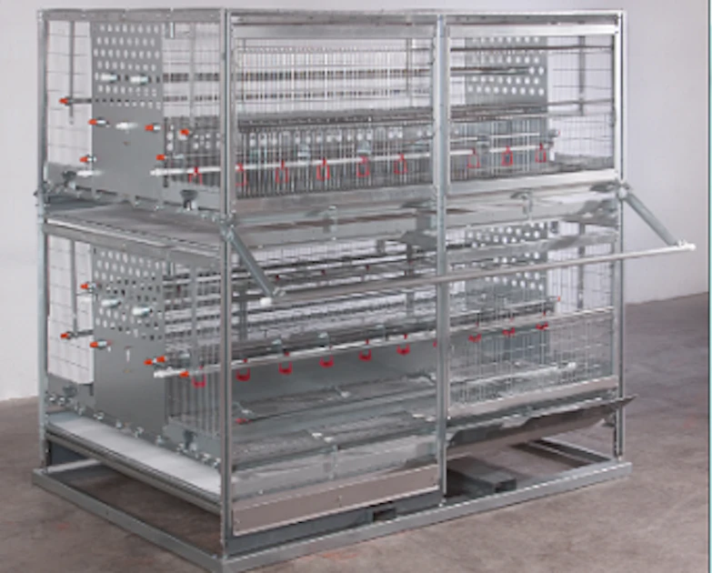 Pullet Rearing System Pullet-rearing system selected for award | WATTPoultry.com