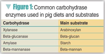 For the enzyme to provide a benefit in the formulation of pig diets, the diet must contain the relevant specific substrate for the enzyme to work properly.