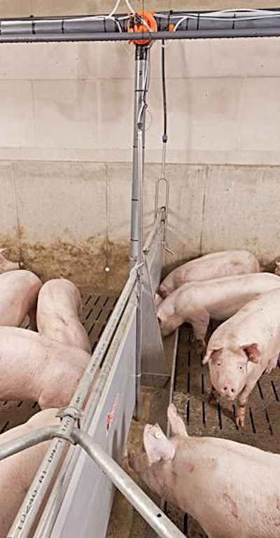 The LevelCheck feeding system is designed to help pig producers keep a closer eye on levels in feeding troughs to save time and money.