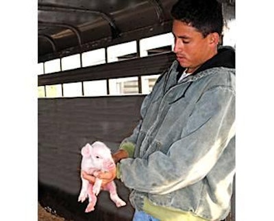 Neonatal pigs are most susceptible to PEDV infection.