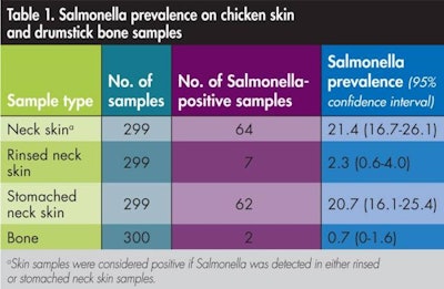 Salmonella in neck skin appears to be a more significant source of ground chicken contamination compared to internalized Salmonella in bone.