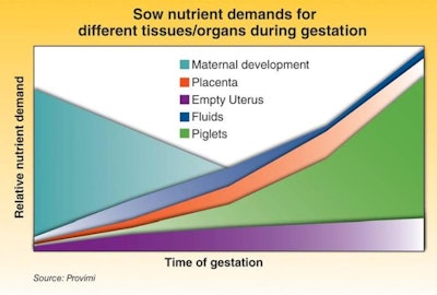 It is now more typical to follow a ‘high-low-high’ feeding schedule. This is based on the idea that in the first part of the gestation the weaned sows need to recover from lactation losses.