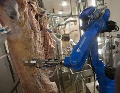 Quality Meat Scotland | The Integrated Measurement of Eating Quality robot in action at Scotbeef, Bridge of Allan.