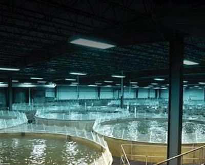 Bell Aquaculture | Bell Aquaculture’s vertically integrated aquaculture farm uses environmentally friendly recirculating aquaculture systems to promote fish health and limit pollution. Less than 10 percent of U.S. aquaculture utilizes this technology.