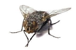 Bigstockphoto High Key Opt