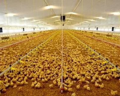 The UK's production of poultry meat is expected to expand by 3 percent this year.