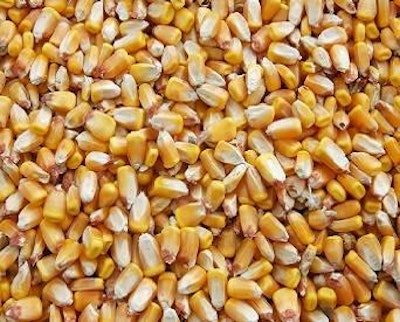 As the ethanol industry starts to make ethanol from this corn crop, dried distillers grains with solubles (DDGS) supplies might weigh on the corn market because the trade dilemma with China was never resolved last summer.