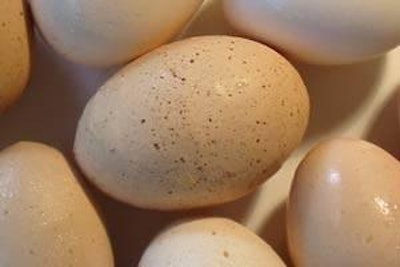 Egg Eggs Eggy Egged Egg It