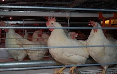The 2013 Egg Bill mandates a transition out of conventional cages into enriched colony cages for hens by January 1, 2030.