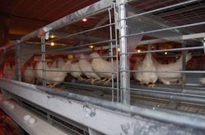 An International Egg Commission study showed that in the EU it cost 15 percent more to produce eggs in barn systems than in enriched cage systems.