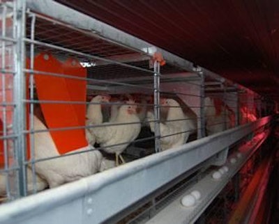 Without passage of the Egg Bill, will the US egg industry transition out of conventional cages and into enriched colonies?