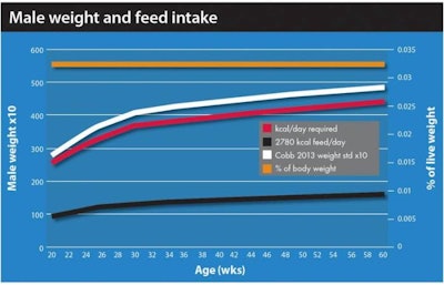 Graph 1: Male weight, energy required and feed (g) as percentage of live weight.