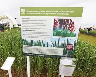 The Home Grown Cereal Authority will host 30 different research plots.