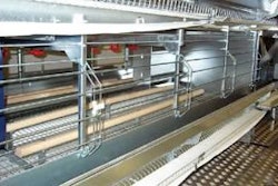 La Directiva 99/74 establece los requisitos para las nuevas jaulas denominadas “enriquecidas”.