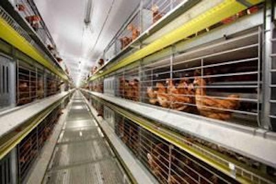 Some cage systems have been designed so that they can be operated as enriched colonies with the font of the enclosures closed or as cage-free systems with the enclosure fronts open.