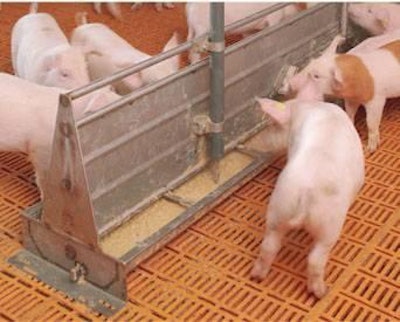 Courtesy of Big Dutchman | There are challenges that must be addressed successfully if pigs are to reap the full benefits of liquid feeding, but using a sophisticated feeding system allows a high level of material and feeding management.