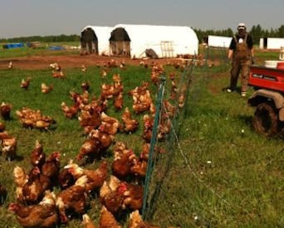 Locally Laid, a small pasture-raised egg producer in Minnesota, is a finalist in a nationwide Super Bowl ad contest for small businesses.