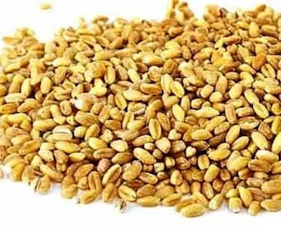 Barley is a crop that requires colder climates to thrive and therefore it is mainly produced in countries like Russia, Canada, Germany, France, and Ukraine.