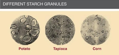 Starch granules, in which amylose and amylopectine are found have varying sizes and shapes.
