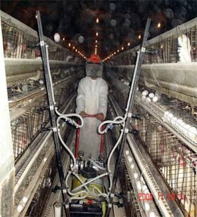 Christmas tree or Steinberger type sprayers have been used extensively in layer houses to vaccinate hens while they are in the cages.
