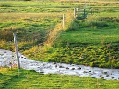 Andrea Gantz | The USDA NRCS identified priority watersheds in each state where on-farm conservation investments will deliver the greatest water quality benefits while maintaining or improving agricultural productivity.