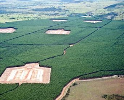 The well isolated Cobb complex in Agua Clara, Mato Grosso do Sul, Brazil, with three rearing and six production units.