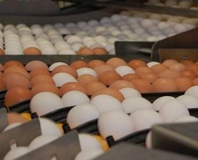 Will hen losses due to avian influenza lead to higher egg prices, or will demand weaken to offset the reduced egg production?