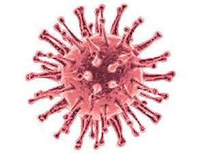 H5n1 Virus