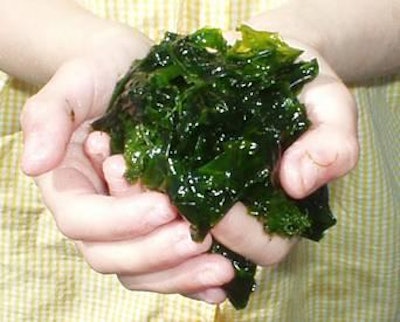 Melanie Johnson | Freeimages.com | Marine algal extracts are used as an additive in pig and poultry diets with promising results. Seaweeds have been shown to possess several functional properties, including those of a functional fiber, with immune-stimulating and prebiotic effects.