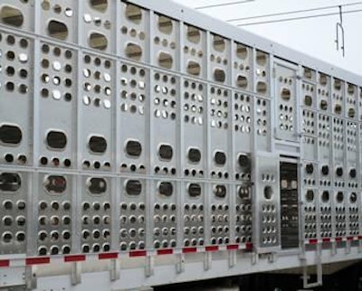 All livestock trailers must be washed, disinfected and baked between loads of animals to prevent a PED virus outbreak.