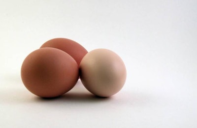 Egg size plays a significant role on eggshell quality, especially among older layers. | Andrea Gantz
